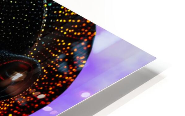 HD Sublimation Metal Print Close-up