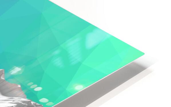 HD Metal Print Close-up