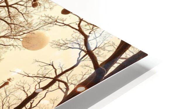 HD Sublimation Metal Print Close-up