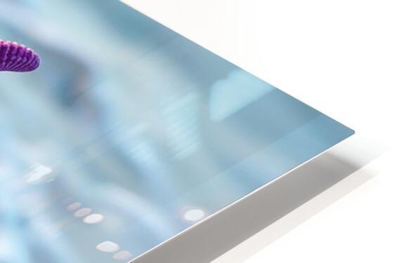 HD Metal Print Close-up