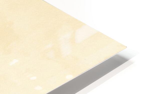 HD Metal Print Close-up