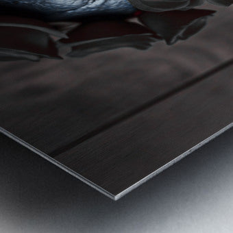 Brushed Metal Print Close-up