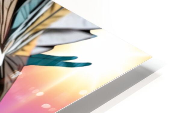HD Sublimation Metal Print Close-up