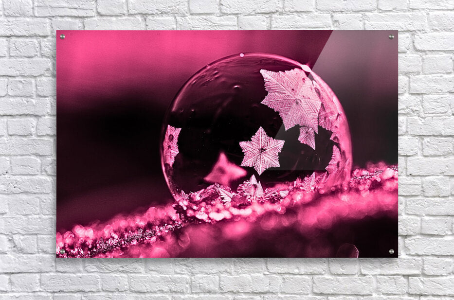 Acrylic Print Pink Frost Bubble Wall Art