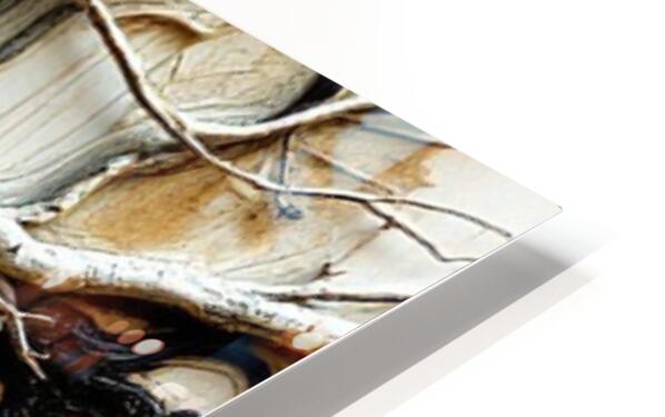 HD Sublimation Metal Print Close-up