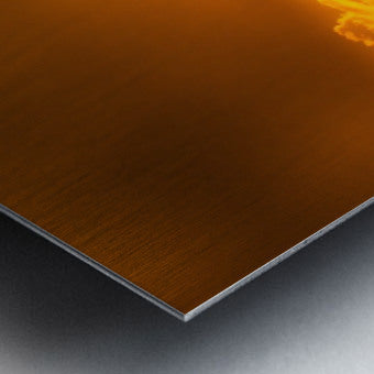 Brushed Metal Print Close-up