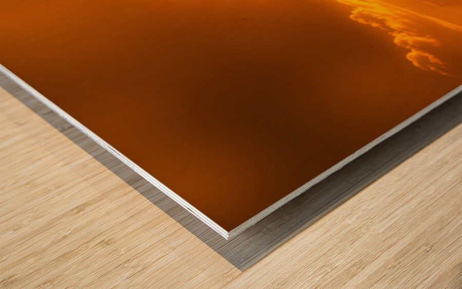 Wood Print Close-up