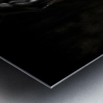 Brushed Metal Print Close-up