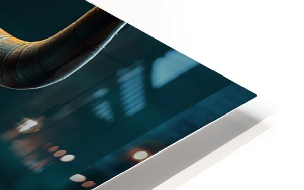 HD Sublimation Metal Print Close-up