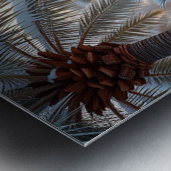 Brushed Metal Print Close-up