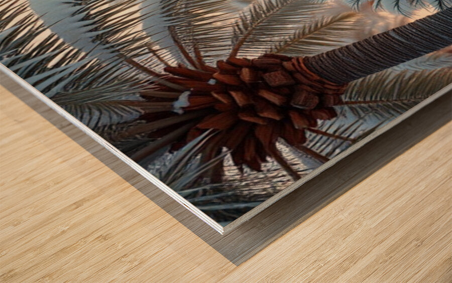 Wood Print Close-up