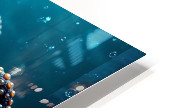 HD Sublimation Metal Print Close-up