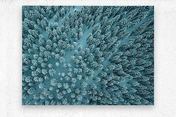 Brushed Metal Print  Winter Wall Art