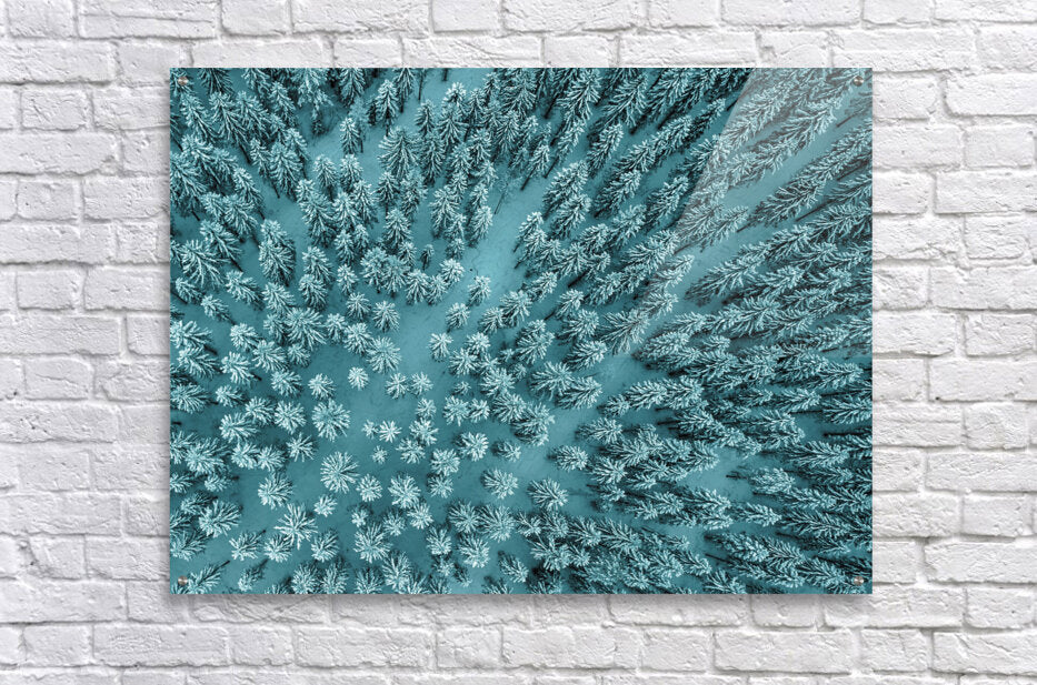  Acrylic Print Winter Wall Art