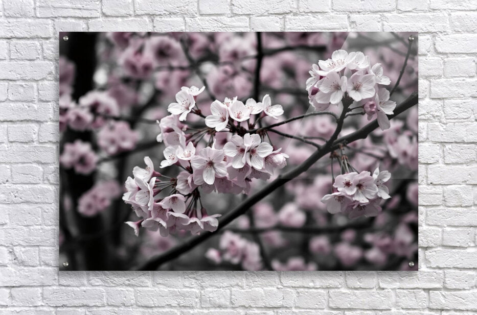  Acrylic Print Floral Wall Art