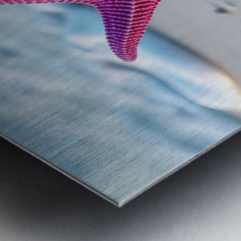 Brushed Metal Print Close-up