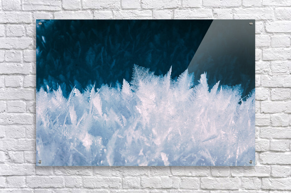  Acrylic Print Winter Ice Wall Art