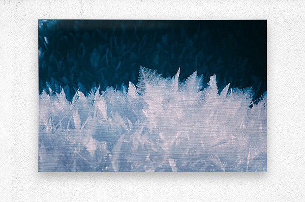  Brushed Metal Print Winter Ice Wall Art