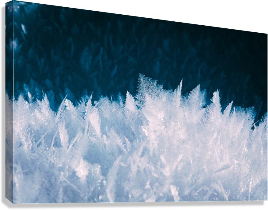  Giclée Stretched Canvas Print Winter Ice Wall Art