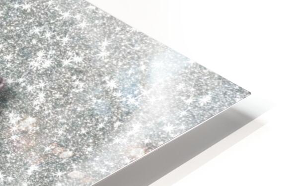  HD Sublimation Metal Print Close-up