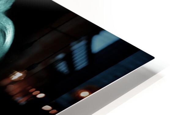 HD Sublimation Metal Print Close-up