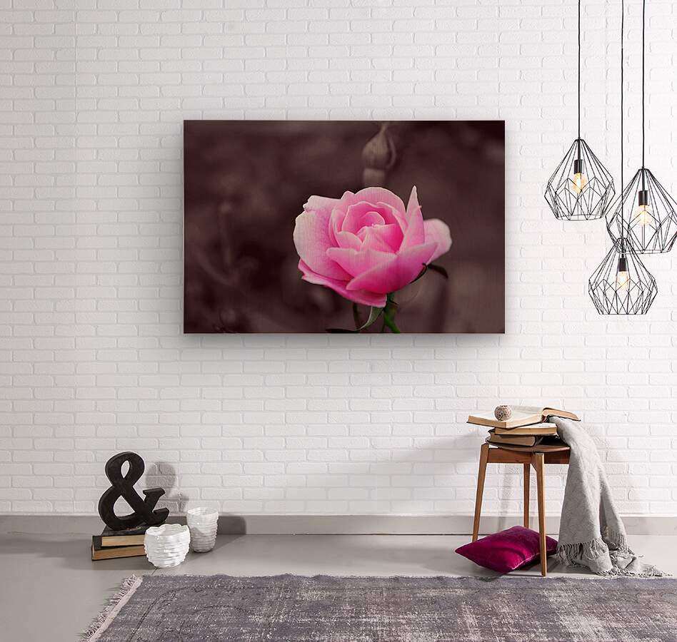 Wood Print Pink Rose Wall Art