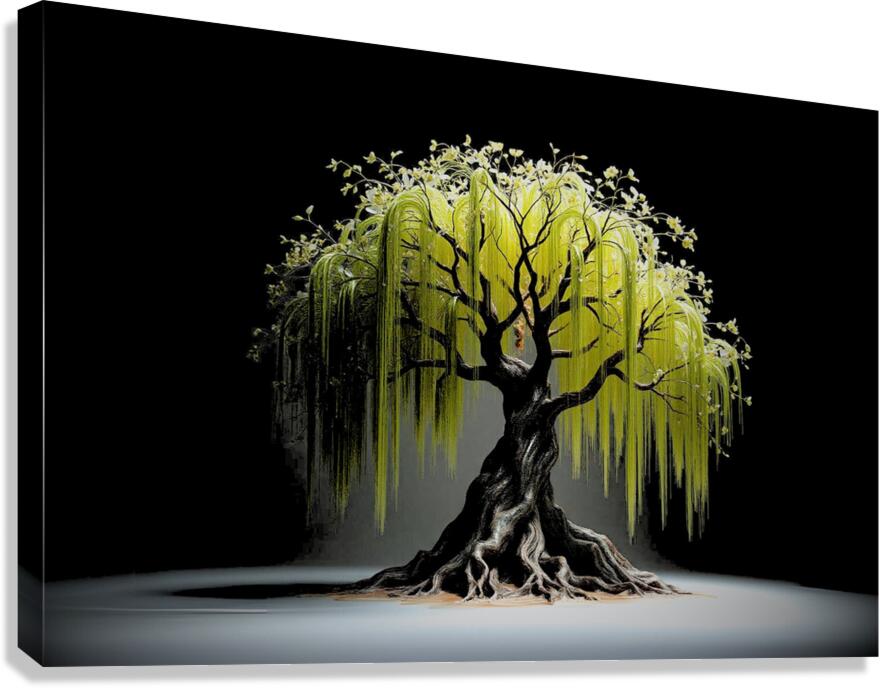 Giclée Stretched Canvas Print Willow Tree Wall Art