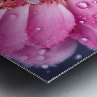 Brushed Metal Print Close-up