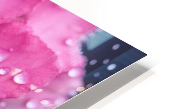  HD Sublimation Metal Print Close-up