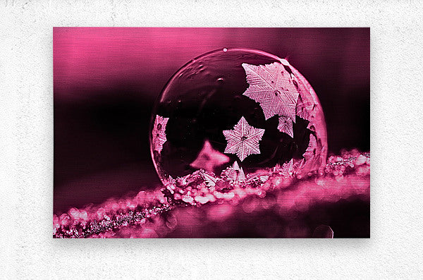 Brushed Metal Print Pink Frost Bubble Wall Art