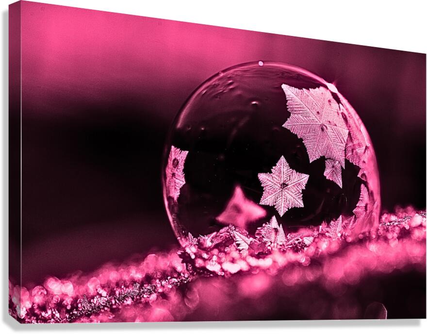 Giclée Stretched Canvas Print Pink Frost Bubble Wall Art