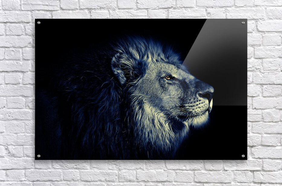  Acrylic Print Lion Wall Art