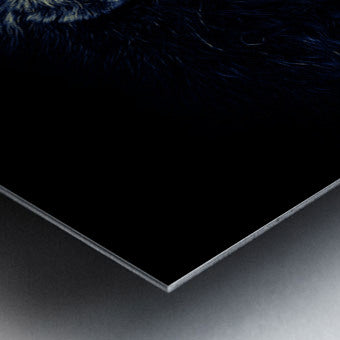 Brushed Metal Print Close-up