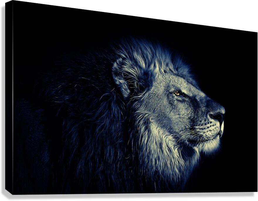 Giclée Stretched Canvas Print Lion Wall Art