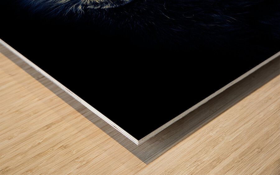 Wood Print Close-up