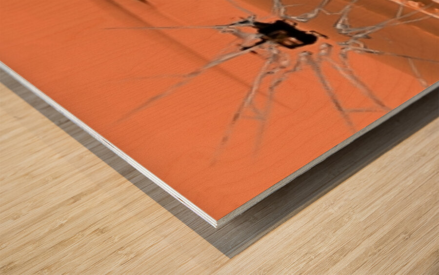 Wood Print Close-up