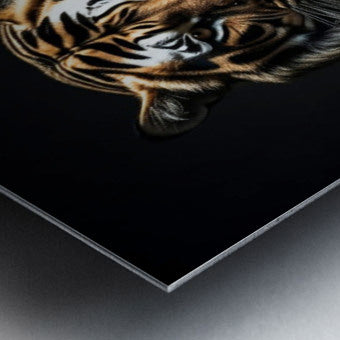  Brushed Metal Print Close-up