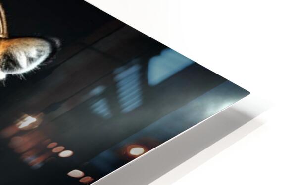 HD Sublimation Metal Print Close-up